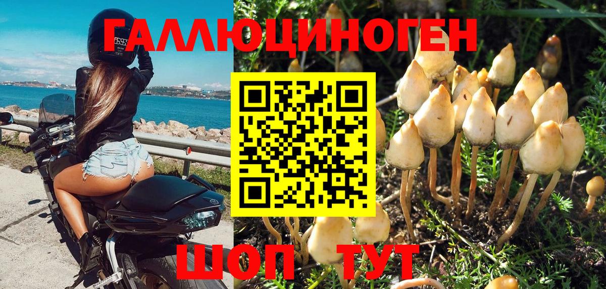 продажа наркотиков  Псилоцибиновые грибы Magic Shrooms  Вход с VPN  Троицк 